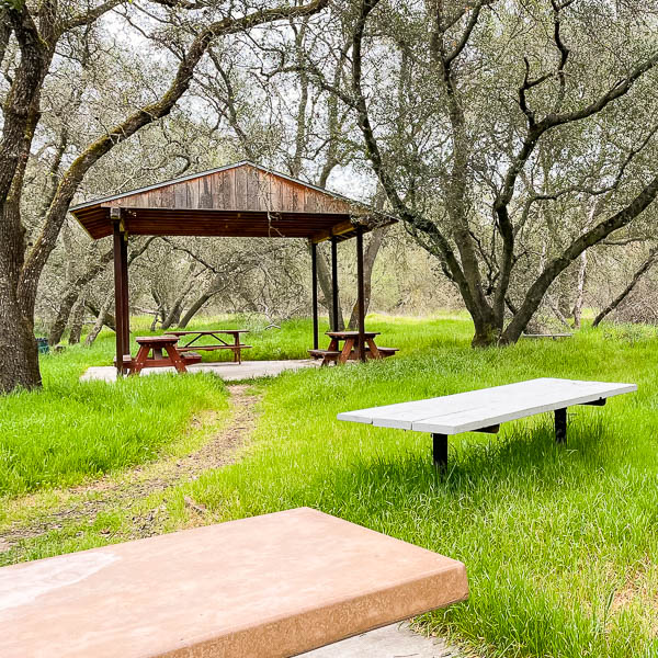 Covered picnic tables